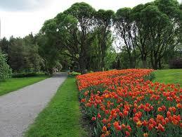 Hatanpää Arboretum